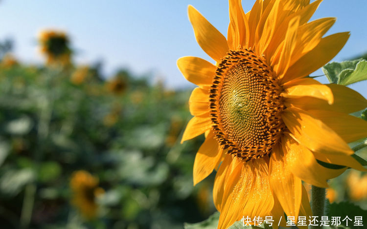 算命的说，6月财神保佑，横财满地中大奖，富贵添喜有车房三生肖