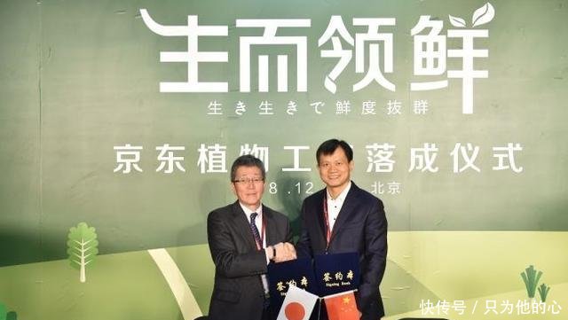 刘强东再出妙手,继养牛、养鸡、养猪之后,京东