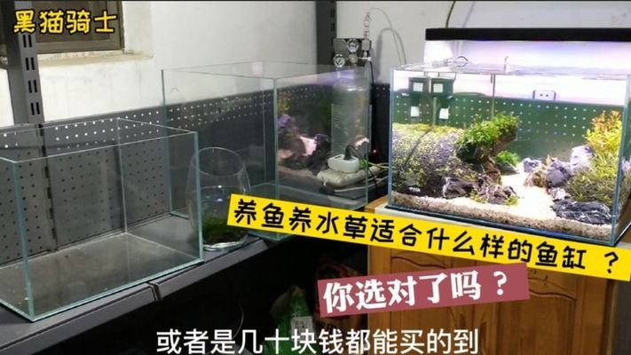 魚缸和底柜尺寸 水族問答