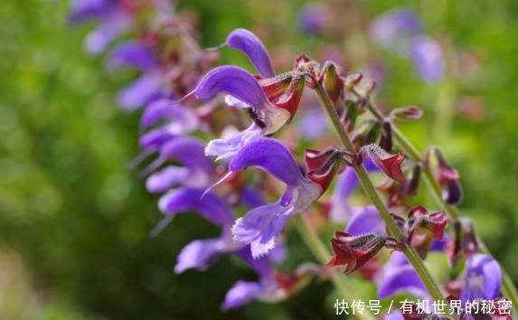 不论男女:脸上没有3个异常,说明毛孔干净没有