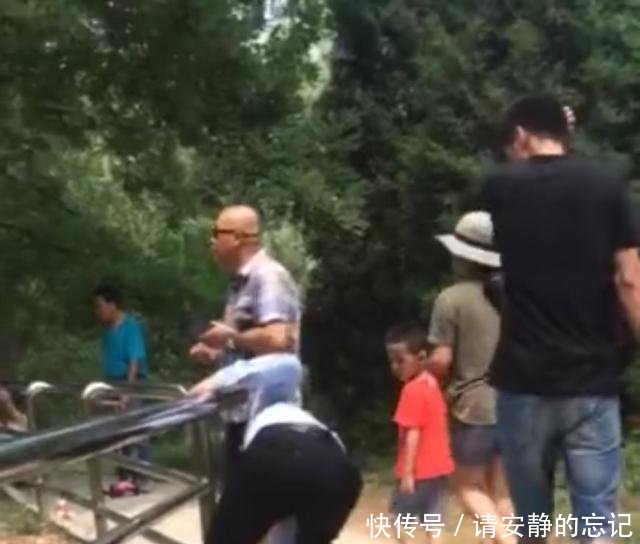 网曝三名东北游客在北京野生动物园拿石头砸老