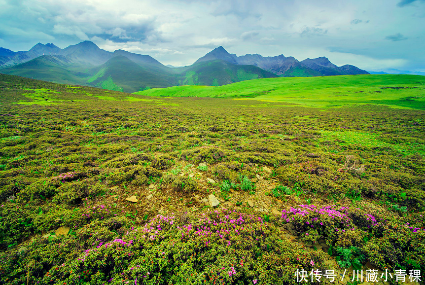 这个暑假拒绝在家和姥爷看西游记，去西藏旅个游似乎要有趣得多！