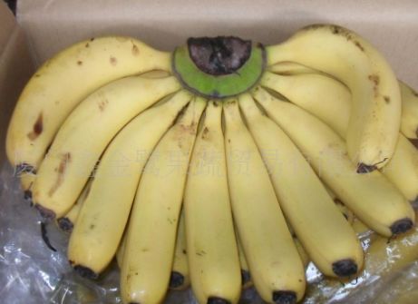 让人倒下的不是病,是无知!香蕉不可和此物同食