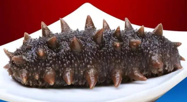 上海哪里卖海参,淡干海参营养高,优缺点是什么