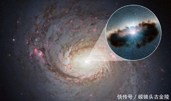 黑洞地位或被颠覆!它可能是构建宇宙秩序的建筑师!