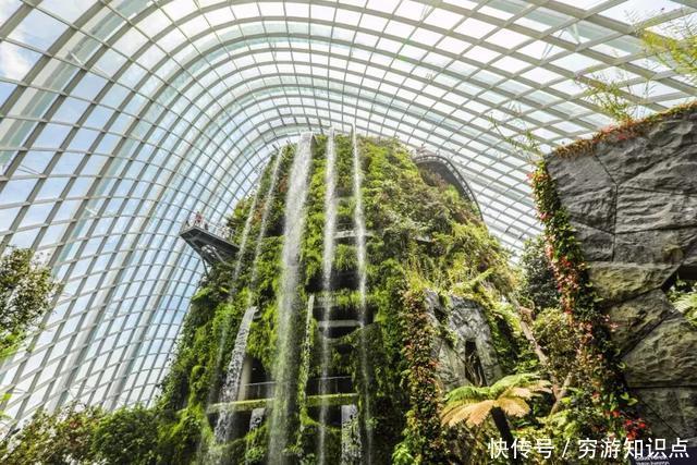 这是什么节奏？新加坡竟然花了10亿打造“原始森林”