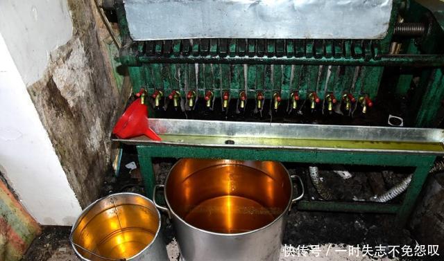 小作坊榨的葵花油5L卖六十都不挣钱,为何电商