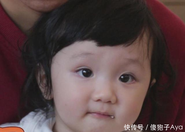 张丹峰女儿照片长相可爱,长大后一定是个大美