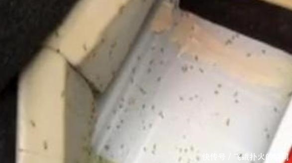 年轻夫妻买新车,回家路上全身发痒,回4s店把车卸了以后一脸惊恐! 电子游艺网页线上游戏