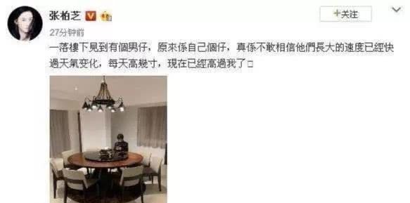 张柏芝晒12岁儿子照片,长相气质神似谢霆锋,如