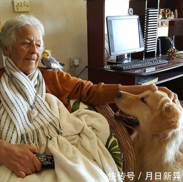 疗养院是干什么的