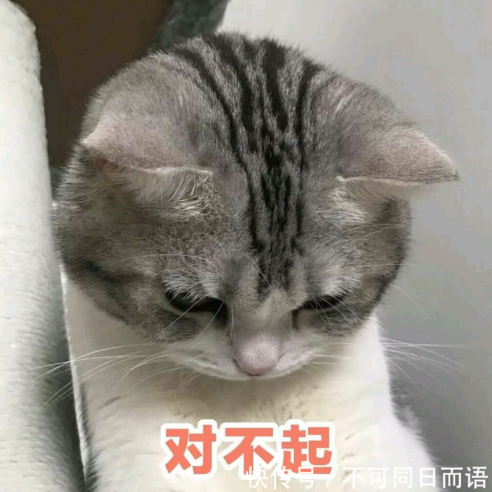 求原谅道歉表情:我隔别人眼里是宝贝,在你笑表情包露搞笑牙图片