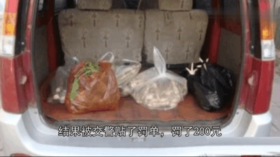 市民开车买10斤菜被罚200元, 交警称是违规载