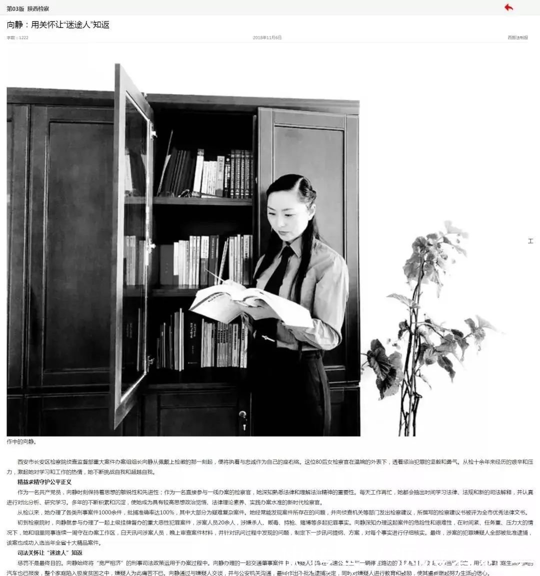 长安区多部门重拳合力扫黑除恶