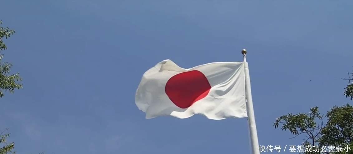 t0137d5f00dadc559e0.jpg?size=1132x494