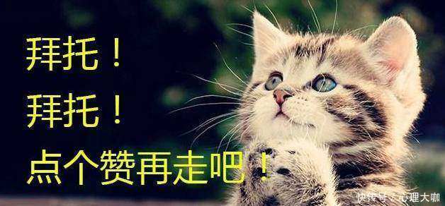 心理测试:你会喜欢哪个心形的蛋糕?测测你内心隐藏哪些心病
