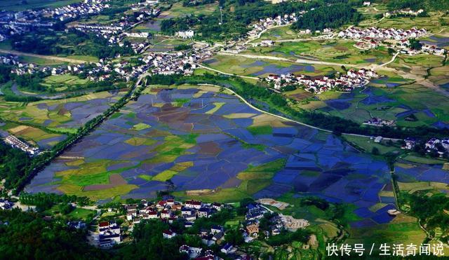 中国未来20年，农村将成为追捧的投资方向，农民抓得住机会吗？