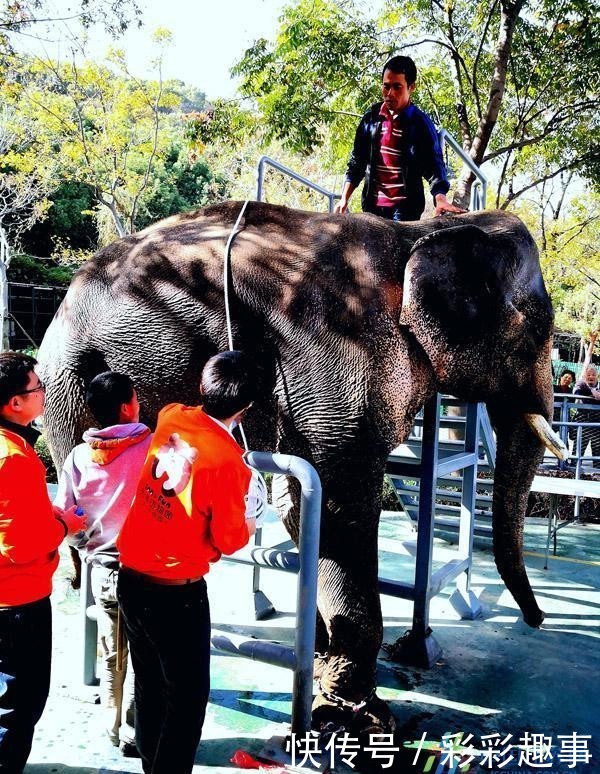 体检需要身份证吗