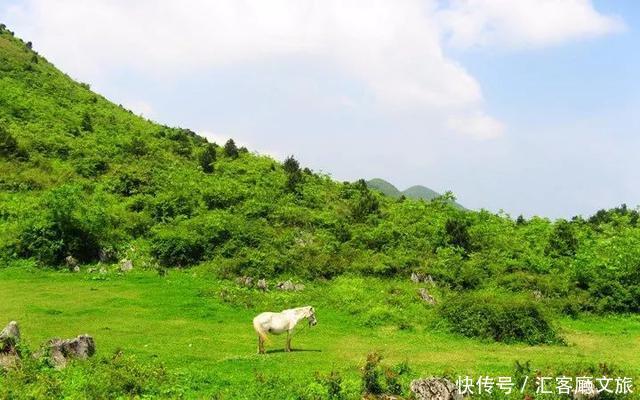 北纬30°上又一个神秘仙境，凭什么惊艳世界？