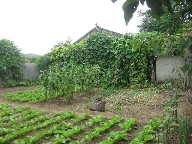 一定要在农村留套房，看完你就懂了...