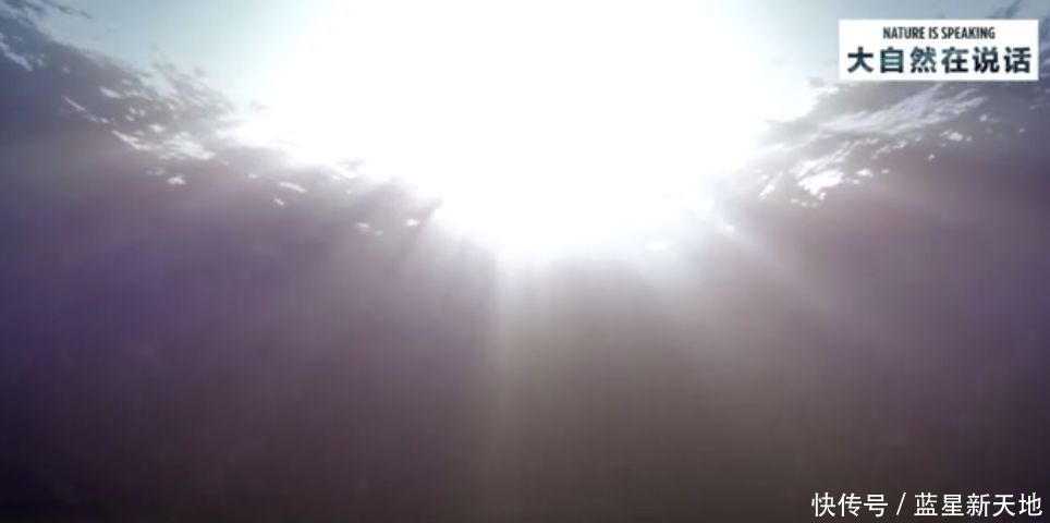 t013c7f1b7e9a01fd67.jpg?size=964x480