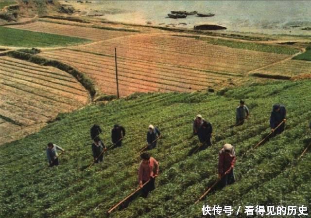 老照片: 60年代的浙江舟山群岛 带鱼可真多