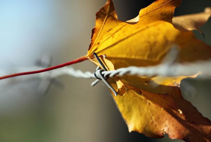 大富大贵赚大钱!3大生肖5月下旬有财到,赚钱多发光发彩!