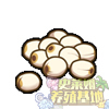 莲子 莲子