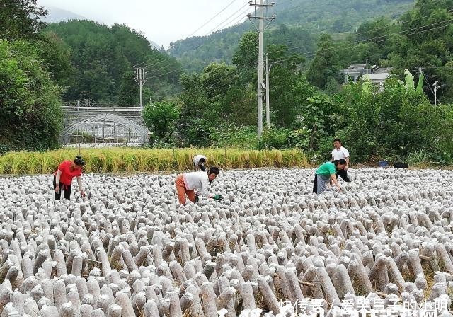 t013fa9a7527bd9c516.jpg?size=640x448