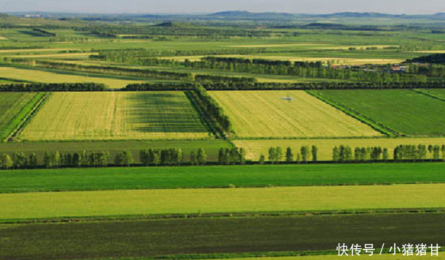 世界10大面积最大的平原,华北平原第九,东北平