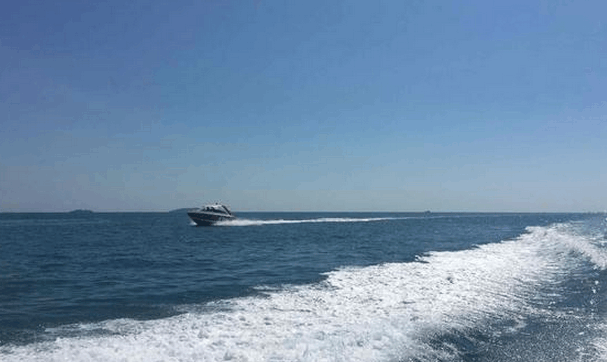 中国游客泰国遭导游恐吓连夜出逃,为什么中国