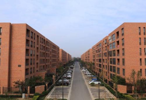 农村土地所有权