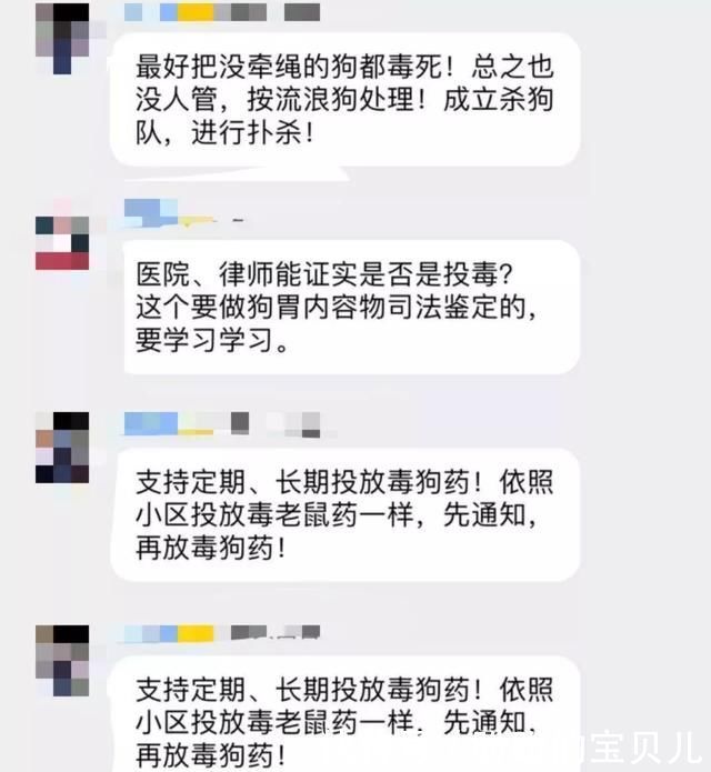 贵州一小区20多只宠物狗中毒死亡,业主群:建议