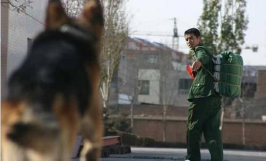 t014296b900e8e66d73.jpg?size=545x331