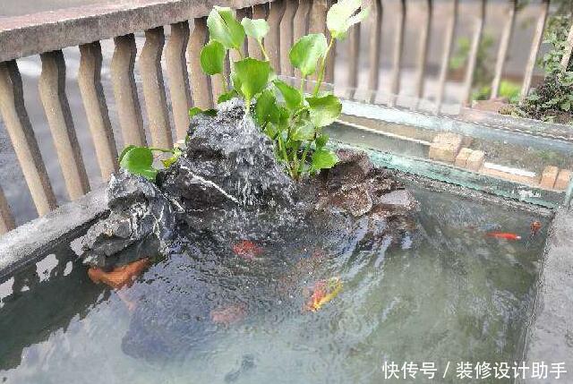 阳台改造的最牛逼的家用露天鱼池,唯一的问题是下大雨了怎么办?