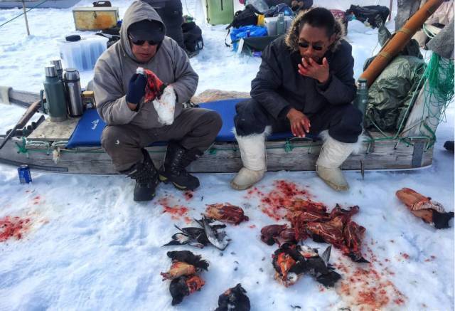 她是中国女版的"贝爷":登过雪山,潜过深海……[墙根网]