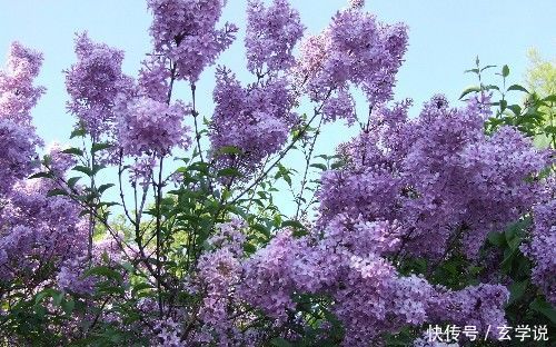 6月横扫霉运，迎来咸鱼大翻身，横财雨下不停的三大生肖！