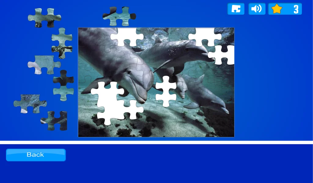 Dolphin Puzzles截图8