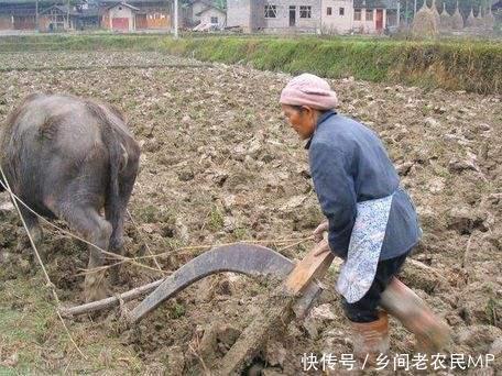 农村老人说的一些话, 其实很有道理, 让人不得不听