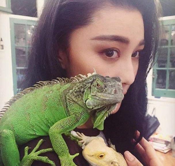 明星养宠物朱一龙养蚂蚁,罗志祥养野猪,杨颖养