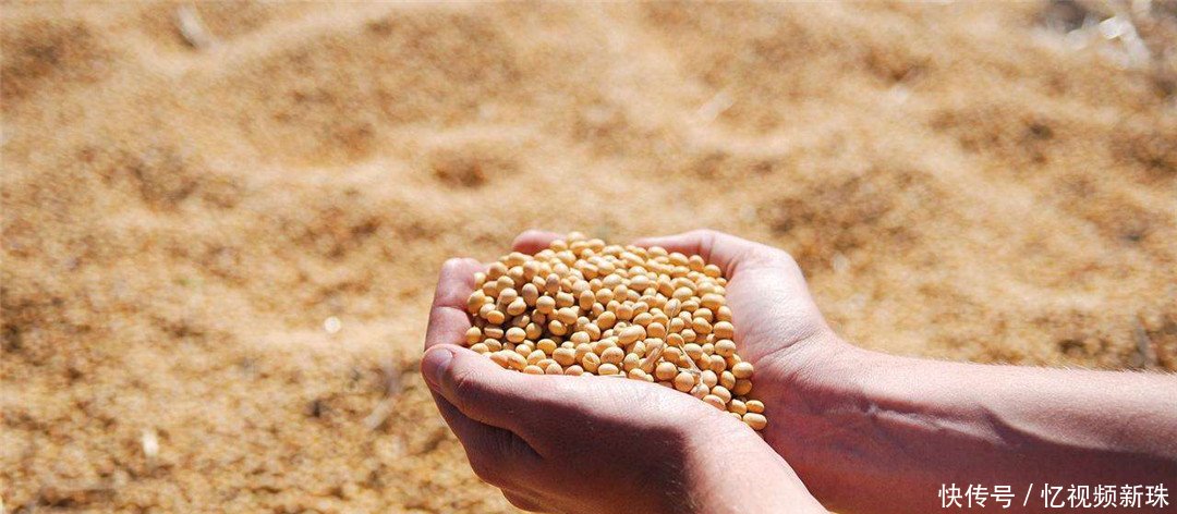 中巴关系破裂,南亚小国捡漏,美发出警告敢接