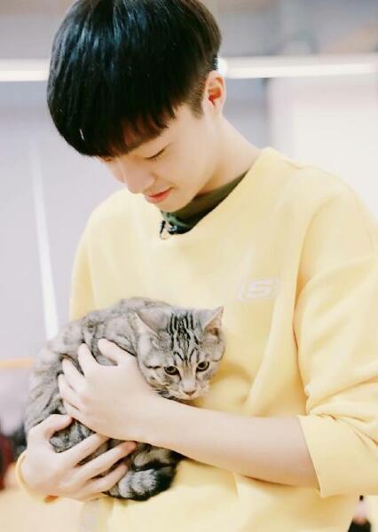 陈立农的微笑能融化一切,流量小鲜肉未来发展