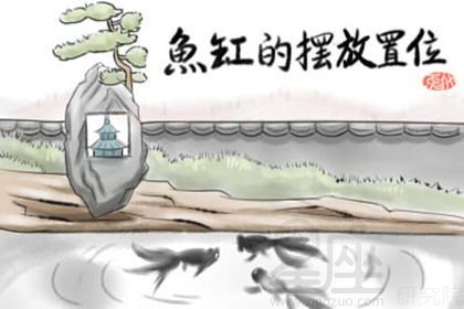 張家口二手魚缸水族箱（張家口二手魚缸水族箱轉(zhuǎn)讓）