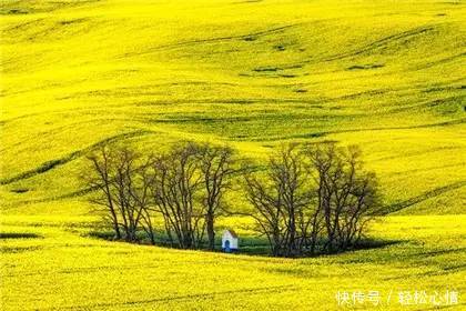 做人淡而久香,不争,不俗