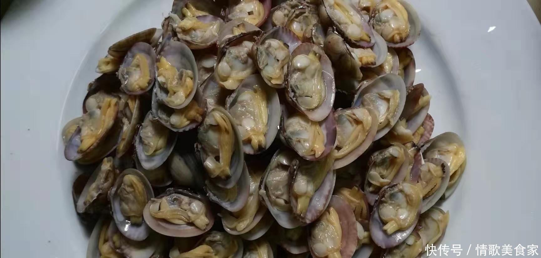 口山珍海味的海味之花蛤,鲜出极致,让你吃不收 m88明升网址
