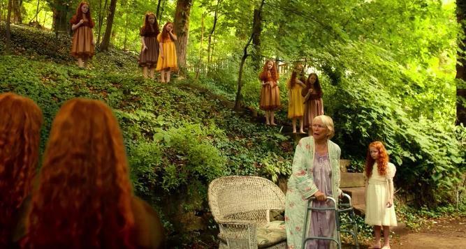 《腊肠狗》狗眼看人性,眼光不一样