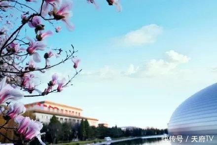 阿来:我认识的一个企业家,减税后一年少支出几