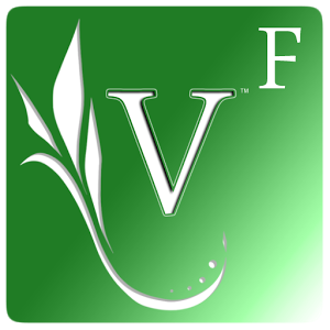 Vocable: Free Vocabulary Tutor