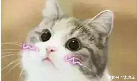 《西虹市首富》将上,盘点沈腾之前演的电视剧