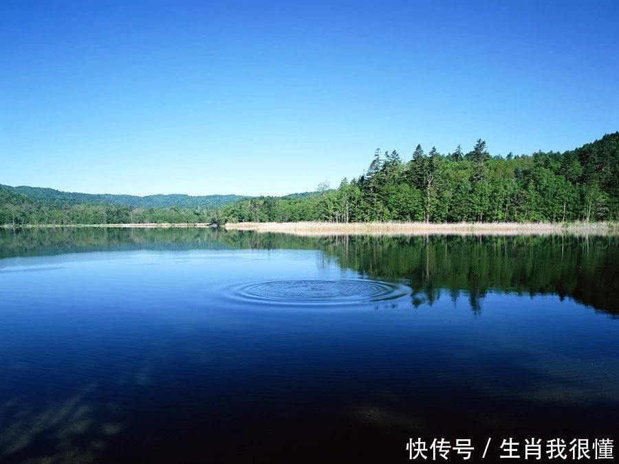 4生肖于贵人有缘,定能咸鱼大
